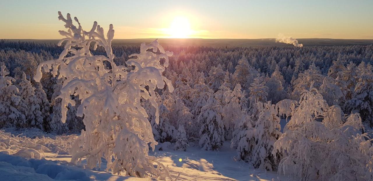 Villaski Rovaniemi Exteriör bild